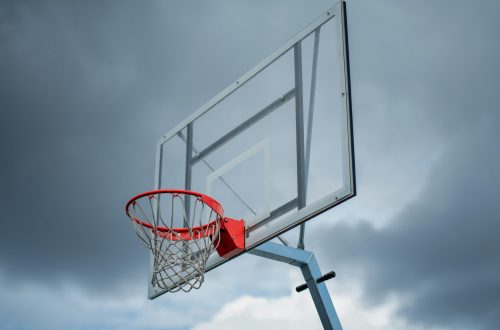 The Basics of Online Sports Betting Platforms